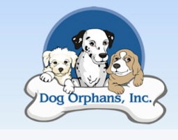 Dog Orphans